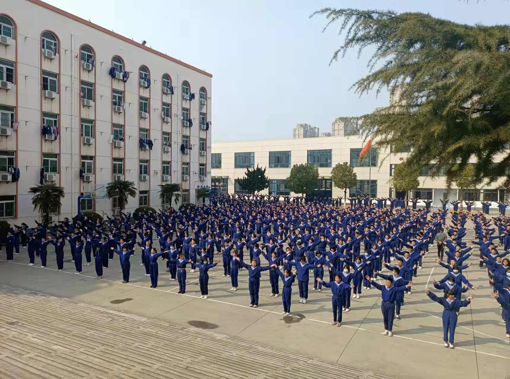 d08d620a9c5e537ad9d7d841098a9d8