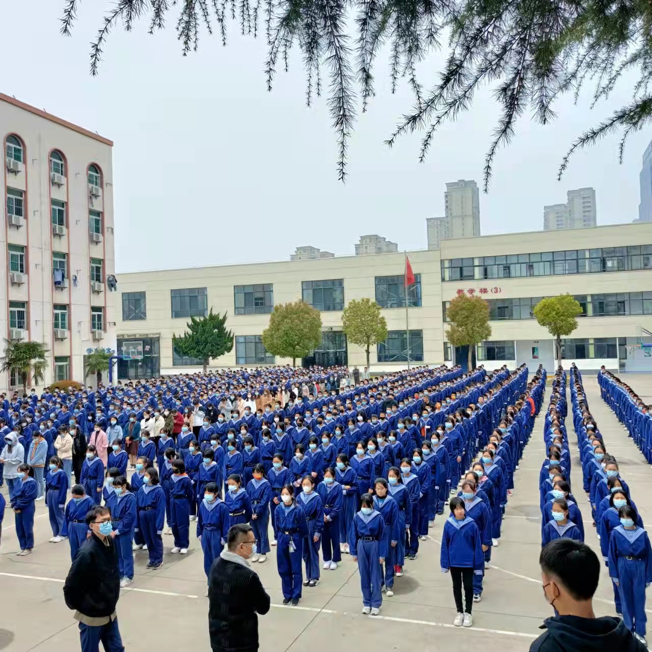 6ce3b105f1df9a9fee3375f985341cd