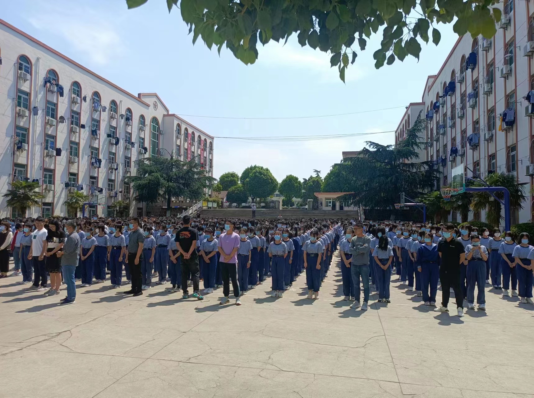 b4fea7f5e06825a3c7661bb1d4d40b1