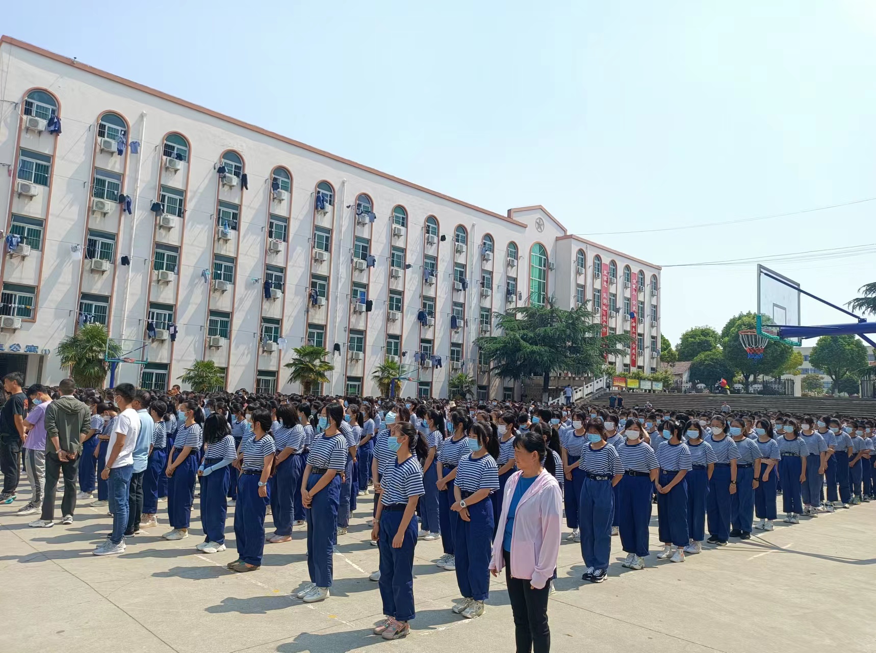 510bbfd8f74bf038856ac5be7a3b3dd