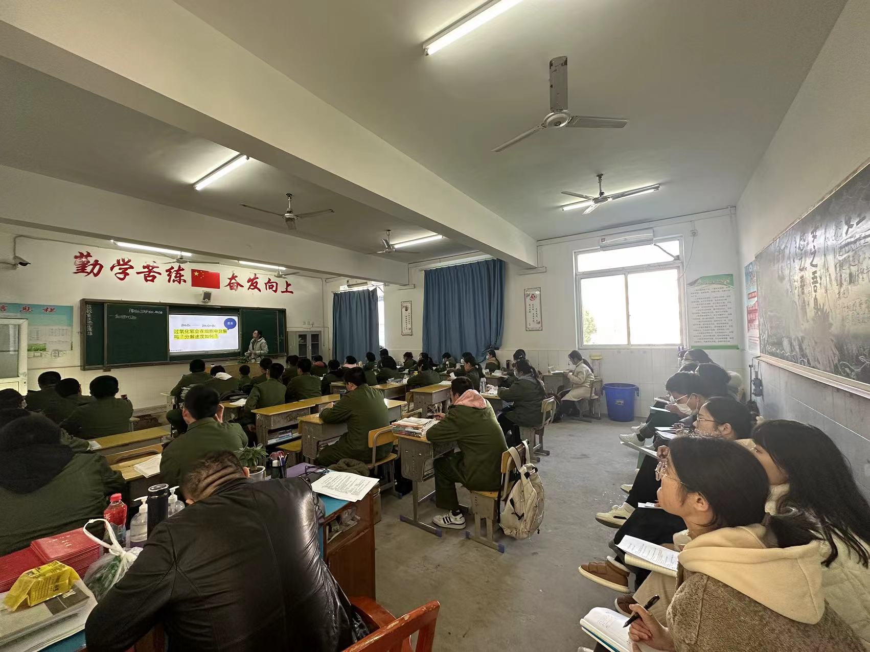 046083cf89037f91531c02980bb0b77