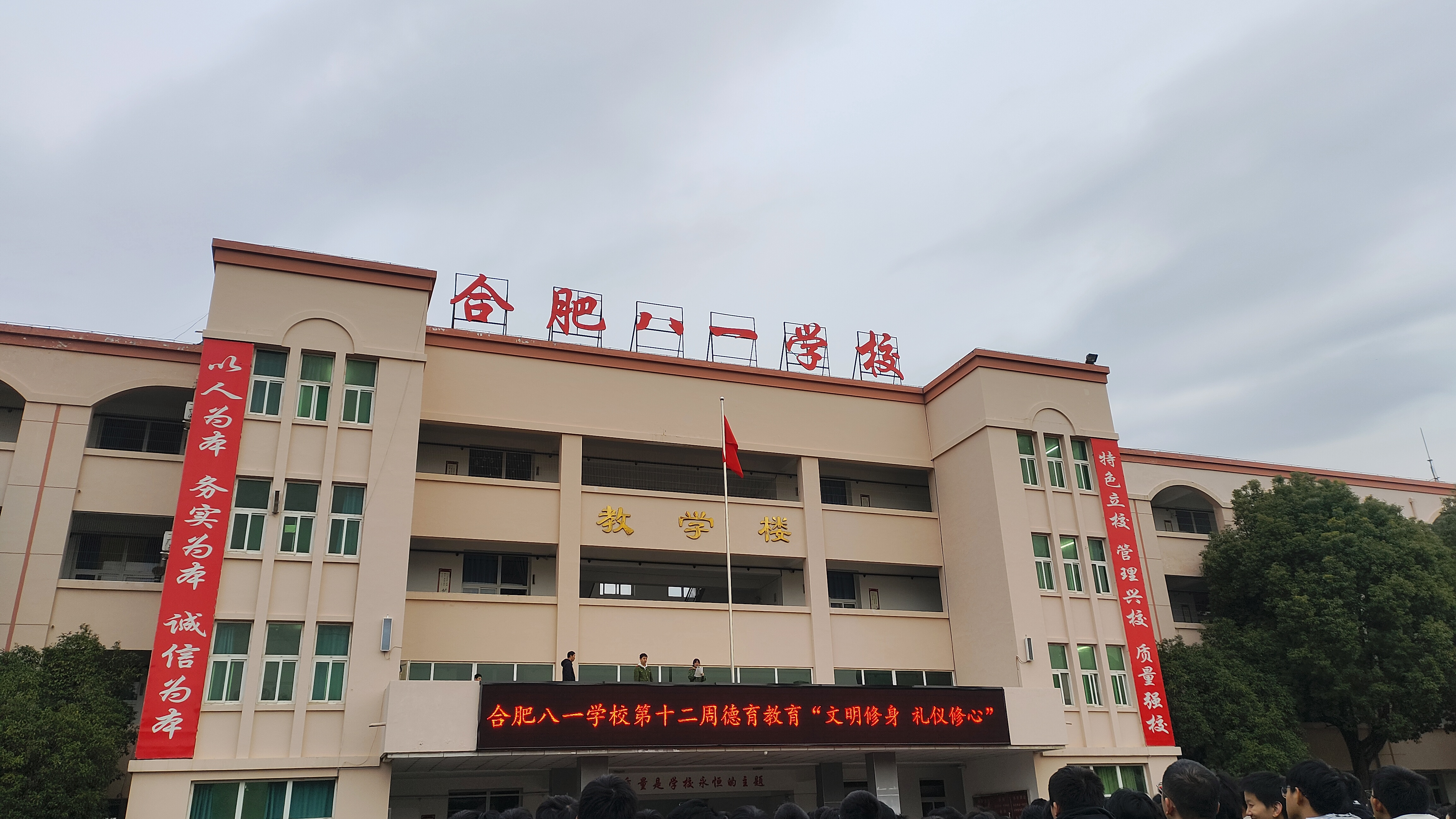 图片3