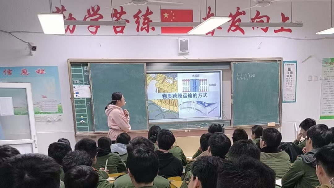 图片1