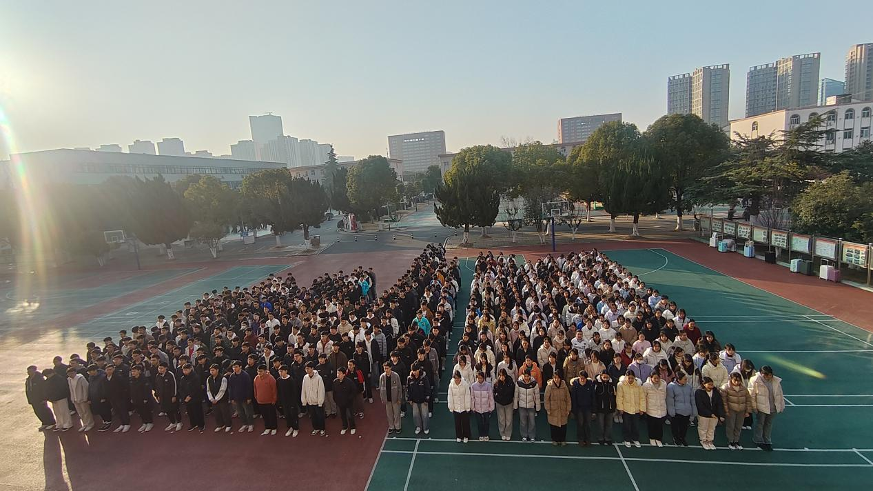 图片3