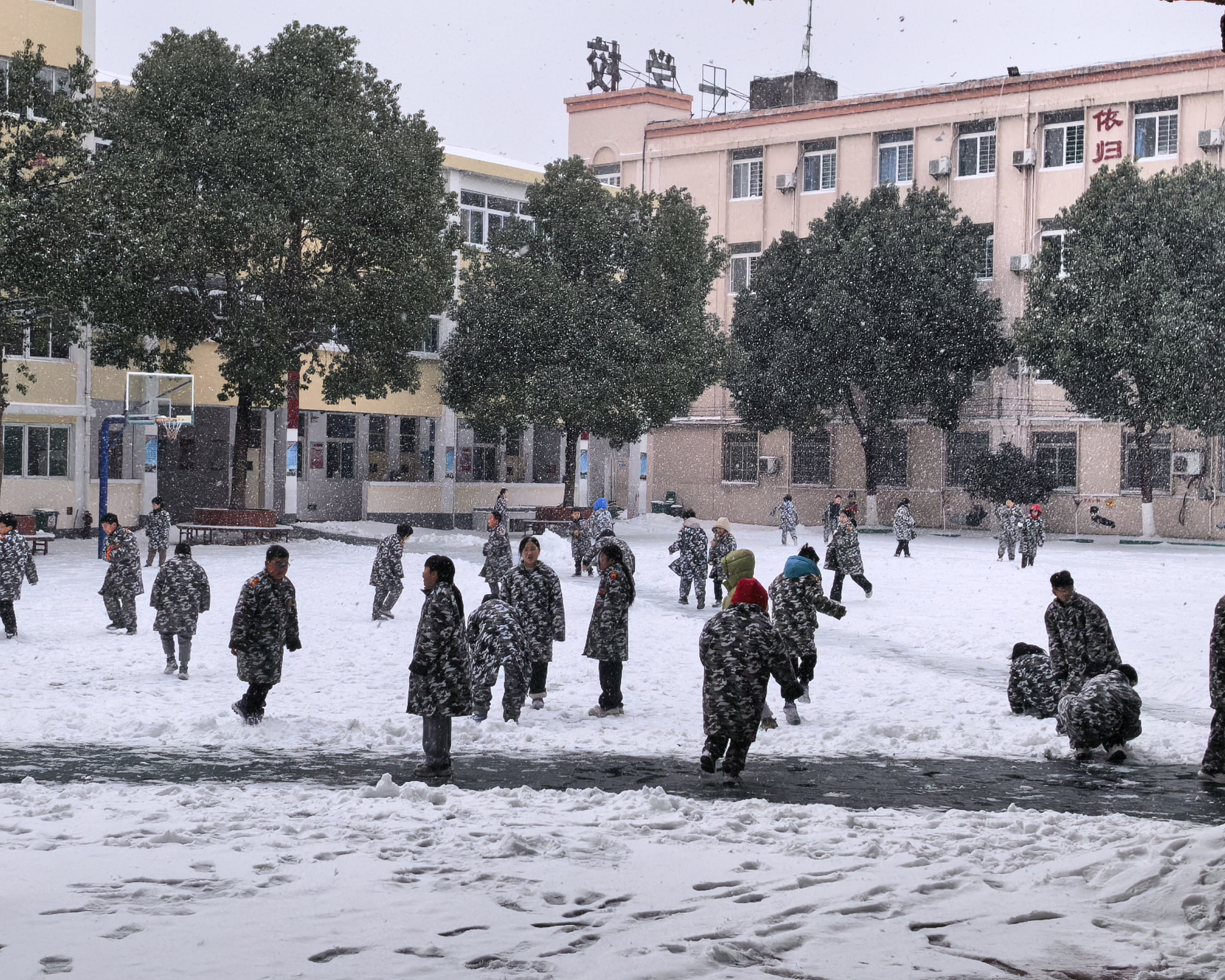微信图片_20260120174547_6_118 微信图片_20260120174547_6_118