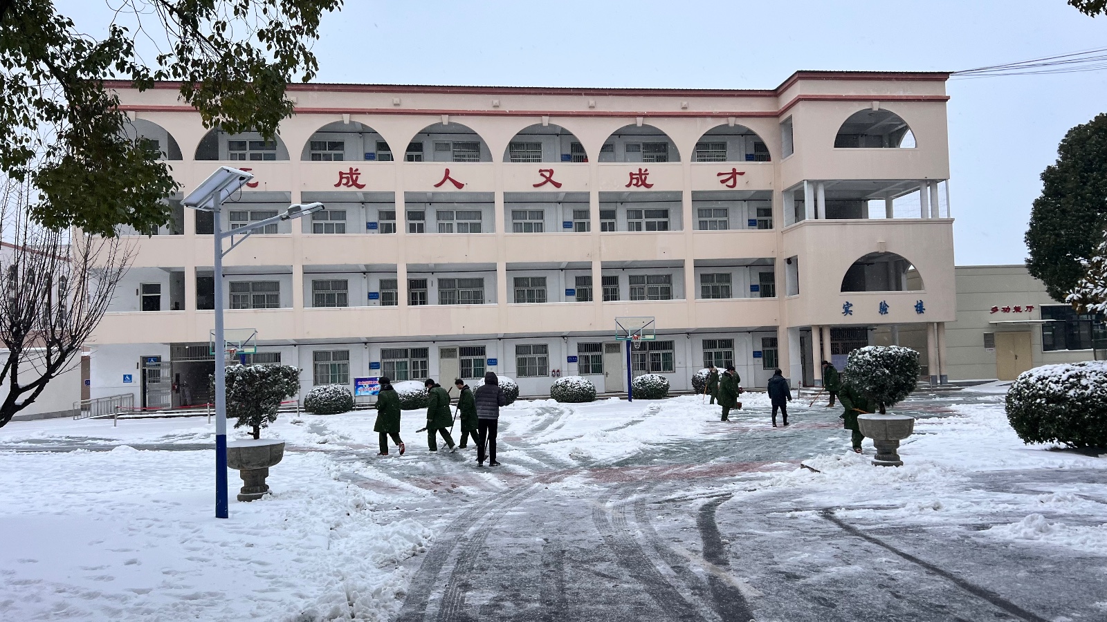 图6