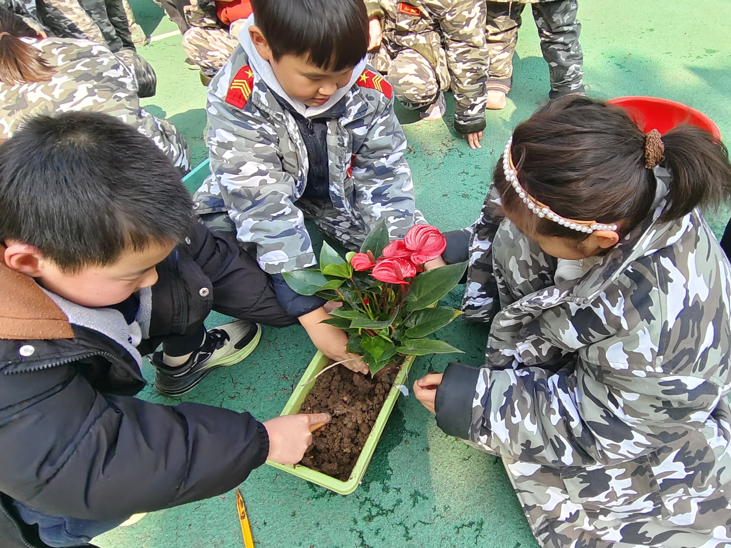 微信图片_20260313141837_16_57