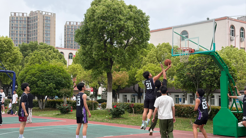 图片4
