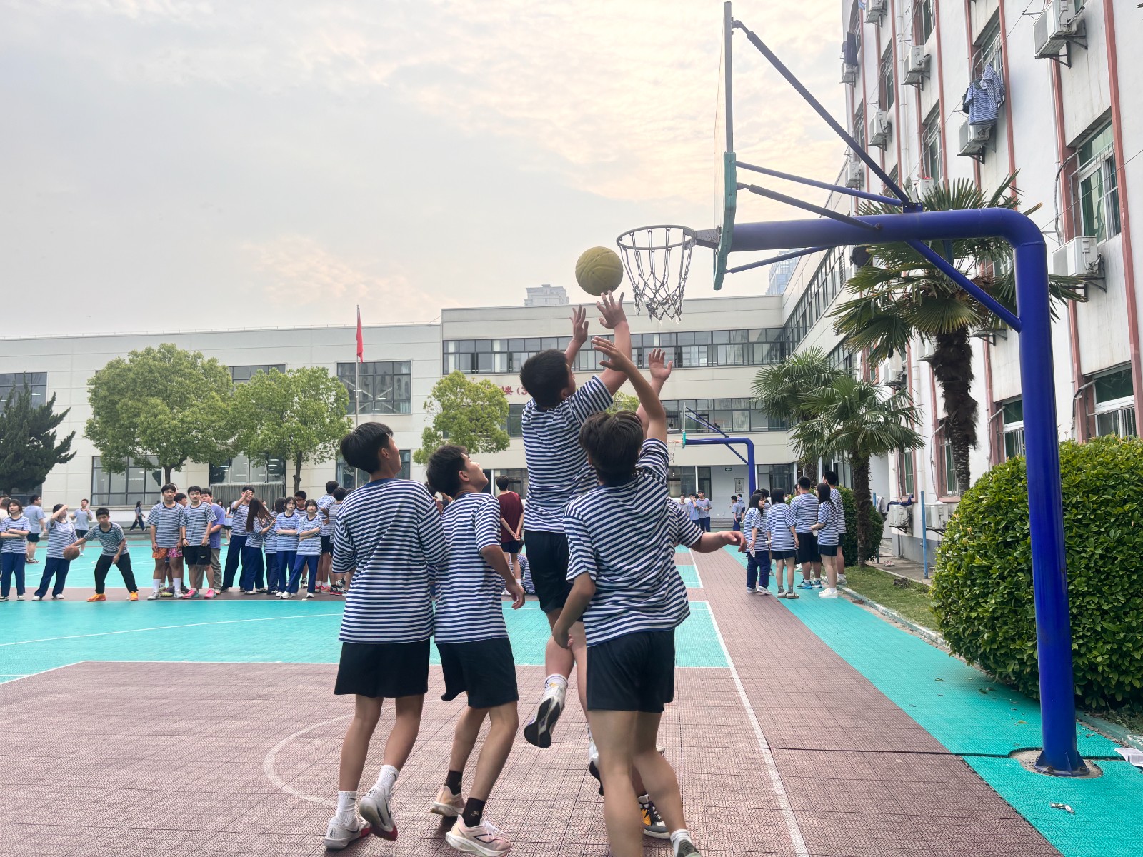 微信图片_20260518105023_37_599