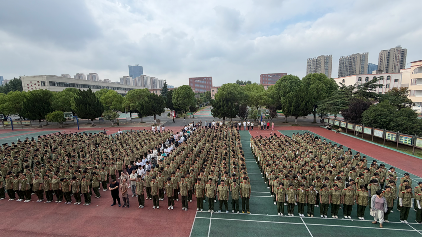 图片4 图片4